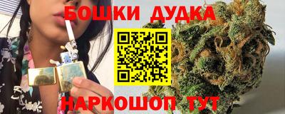 сатива Новокубанск