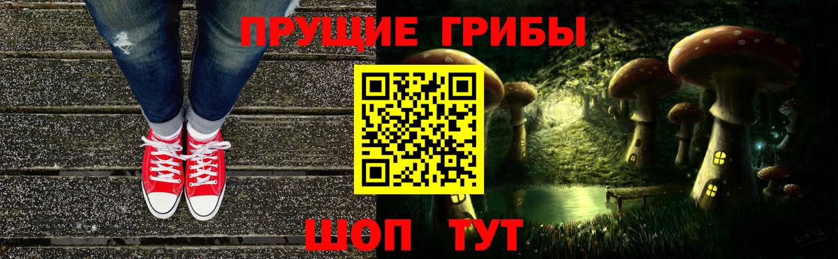 Галлюциногенные грибы GOLDEN TEACHER  Вход с VPN  Отрадное 