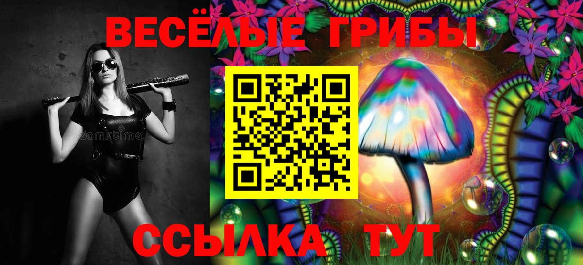 Галлюциногенные грибы прущие грибы Отрадное